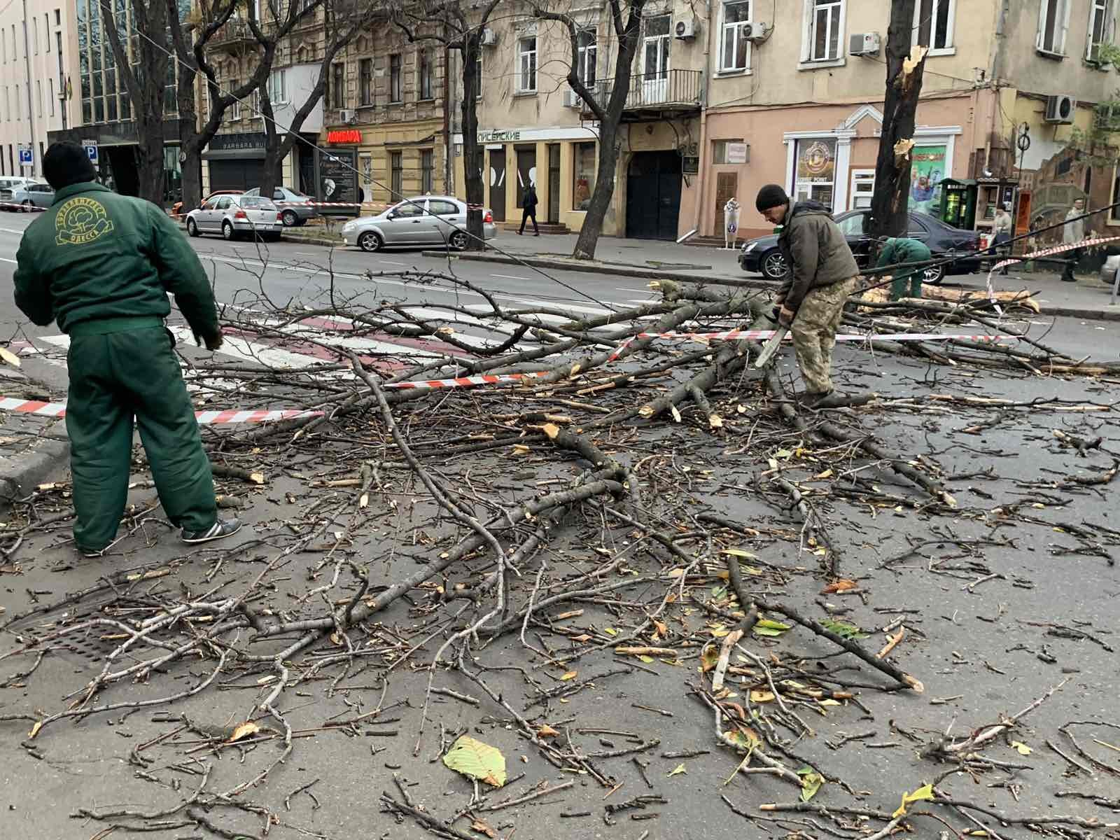В Одессе мощный шторм повалил деревья и наделал много беды (фото)