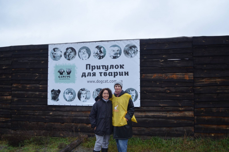 Українські школярі зібрали понад 5 тонн корму і круп для бездомних тварин