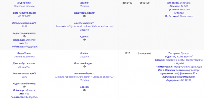 Будинки, квартири та елітні авто: нардеп з Шостки задекларував нові іномарки дружини