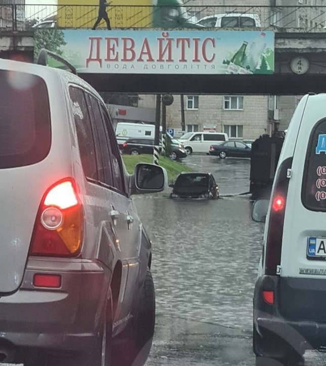 В Ивано-Франковске из-за сильного ветра и ливня падали деревья: одно рухнуло на подъезд