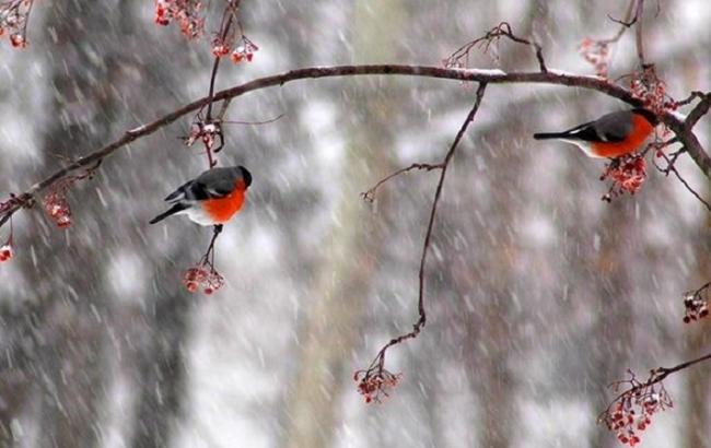 Дощі з мокрим снігом: де 20 лютого &quot;заплаче&quot; небо