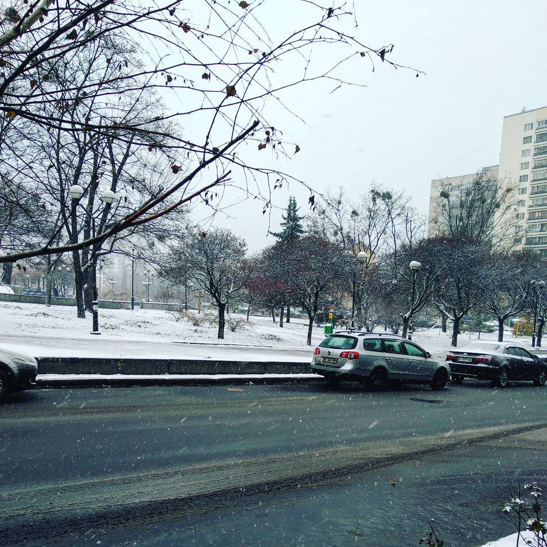 Біліше білого: казкові фото засніженого Києва