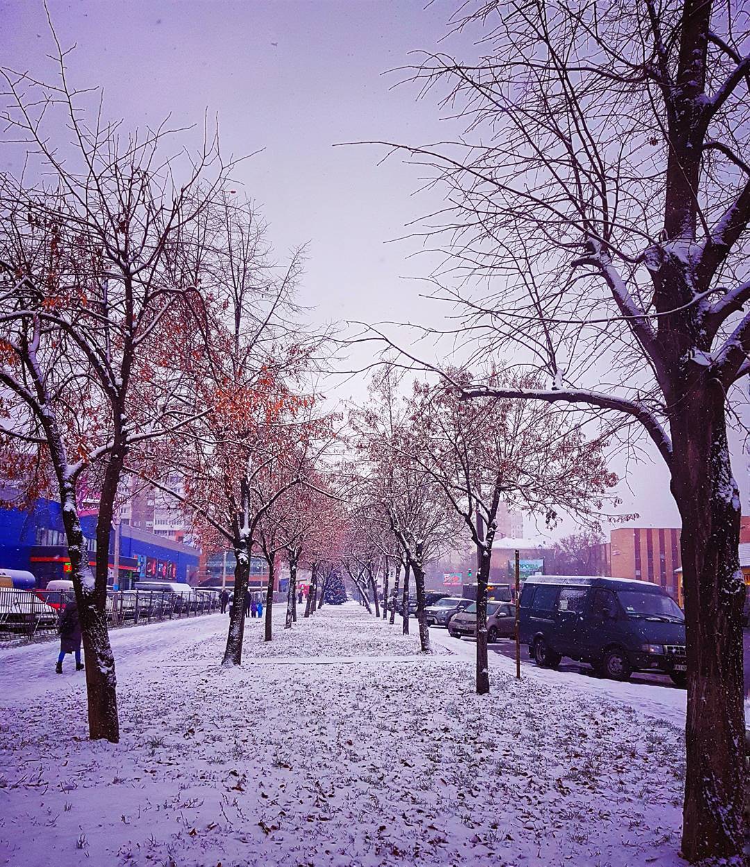 Біліше білого: казкові фото засніженого Києва