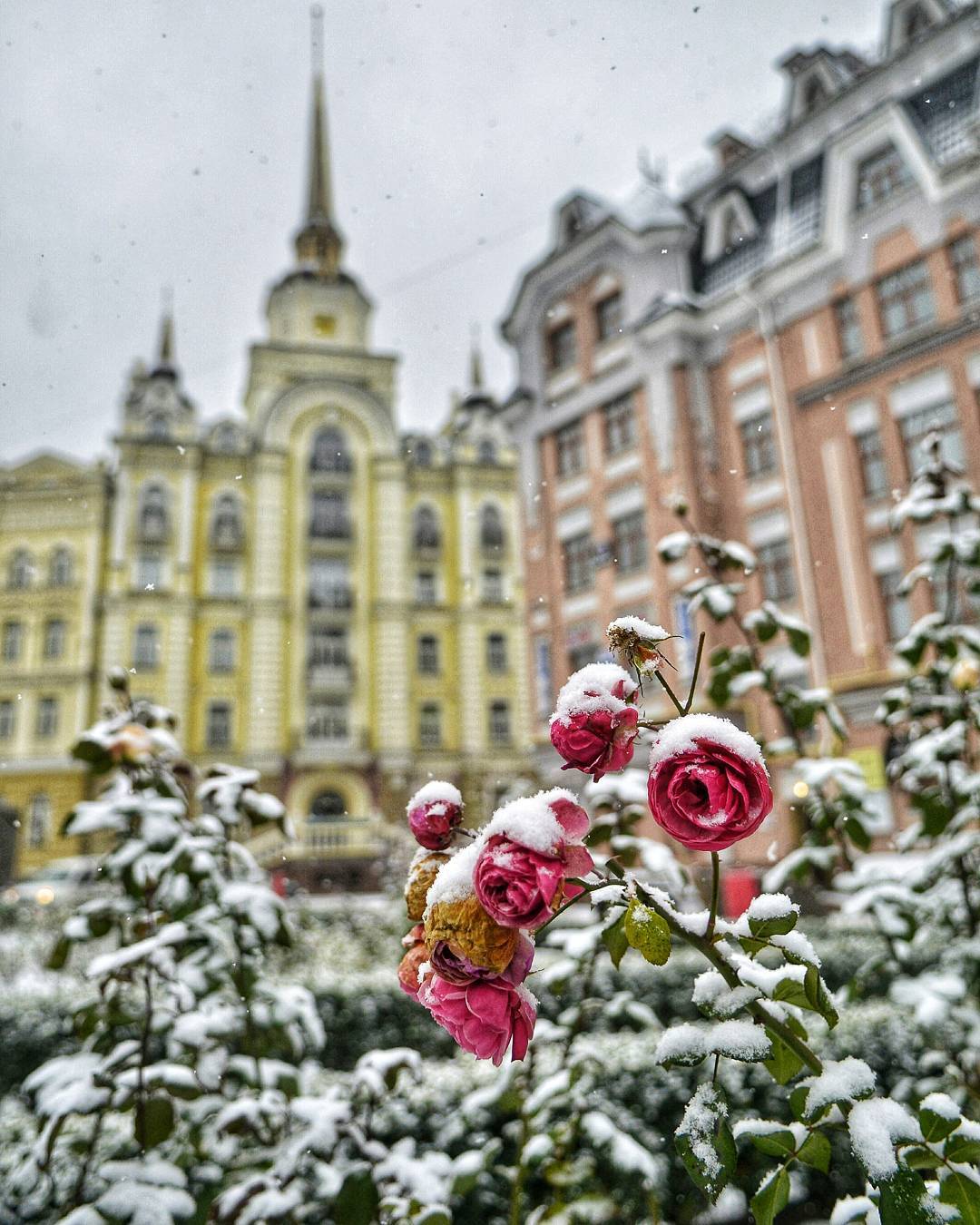 Біліше білого: казкові фото засніженого Києва