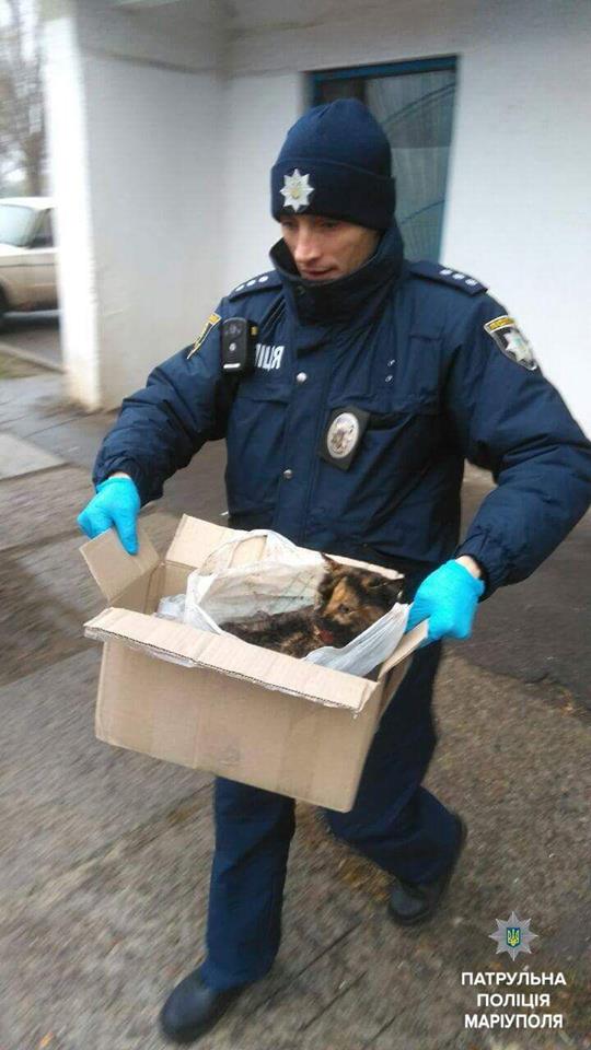 "Не смогли пройти мимо несчастного животного": в сети рассказали о поступке мариупольских патрульных