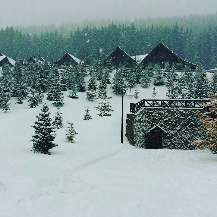 Зима в Карпатах: приголомшливі сніжні селфі від українців