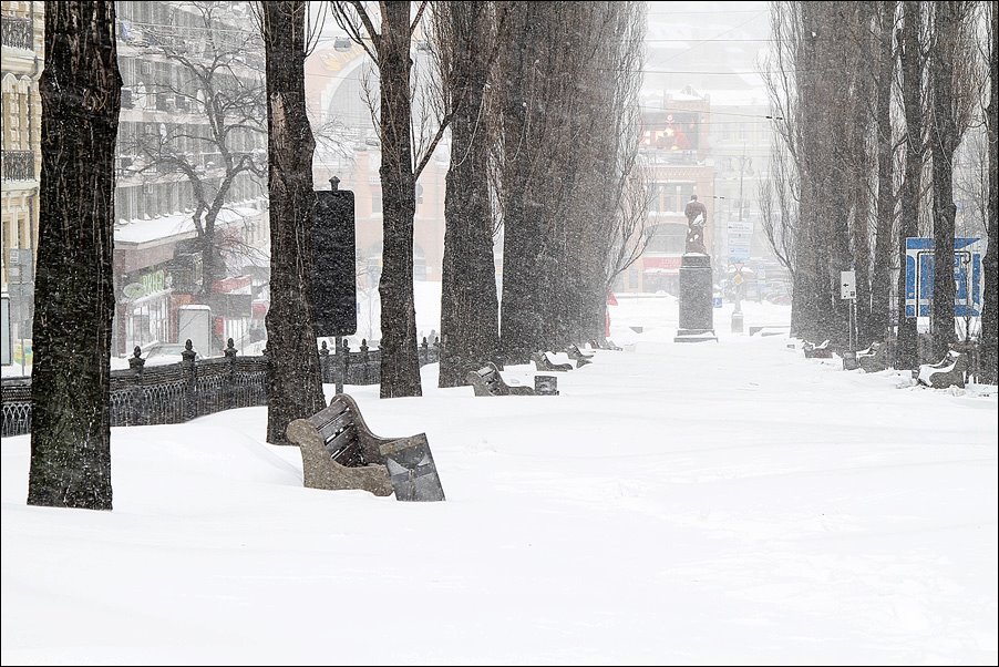Как в марте 2013-го: синоптики обещают киевлянам снежный апокалипсис
