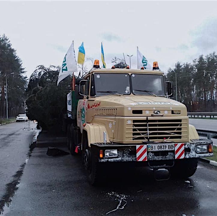 "Встречай зеленую красавицу": в Киев привезли главную новогоднюю елку