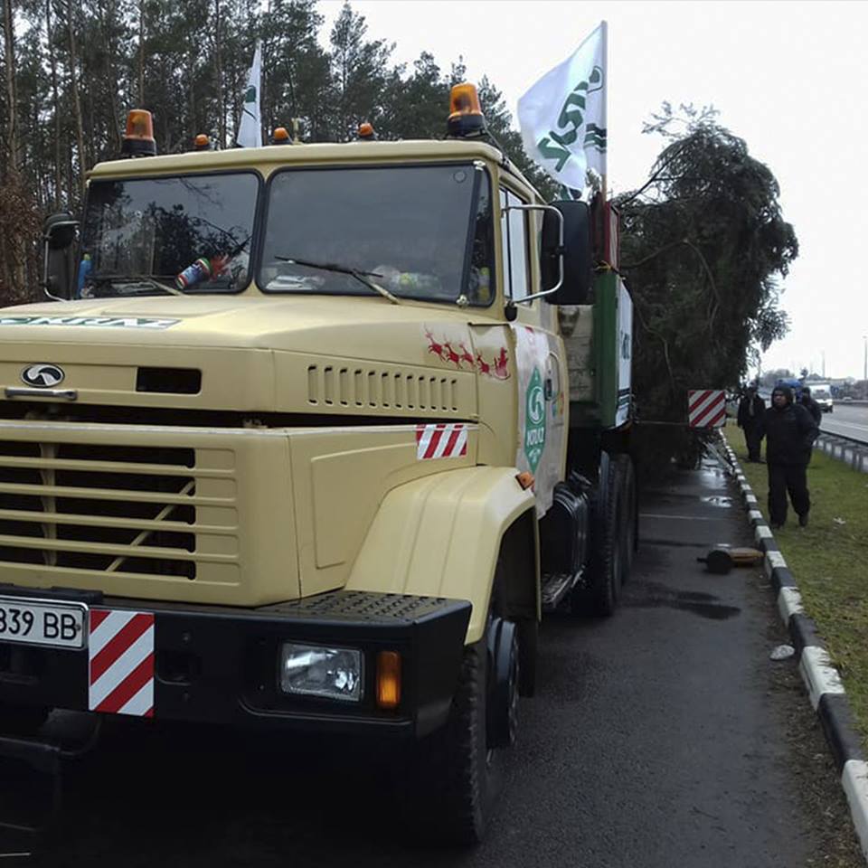 "Встречай зеленую красавицу": в Киев привезли главную новогоднюю елку