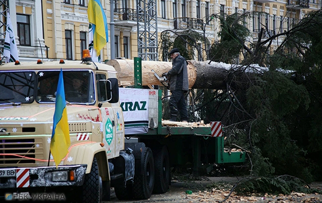 В Киеве начали установку главной новогодней елки страны (фоторепортаж)