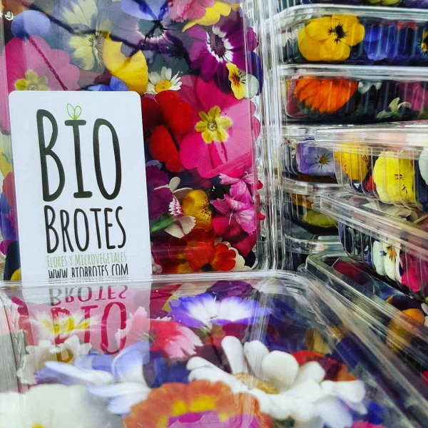 "Медленный деликатес" и цветы: новые тренды в правильном питании