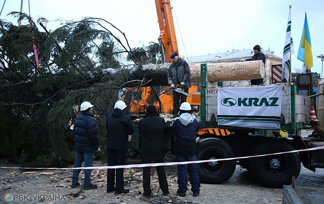 В Киеве начали установку главной новогодней елки страны (фоторепортаж)