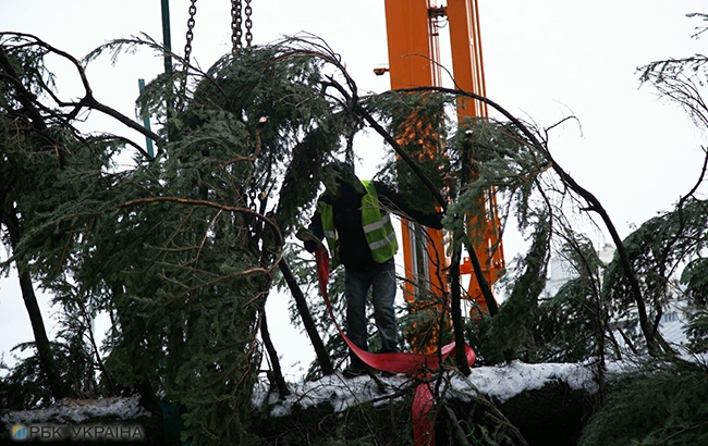 В Киеве начали установку главной новогодней елки страны (фоторепортаж)