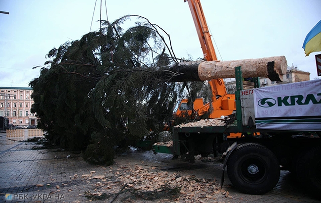 В Киеве начали установку главной новогодней елки страны (фоторепортаж)
