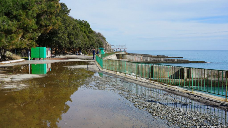 "Алыча в цвету и первые пляжники": в сети показали фотографии весеннего Крыма