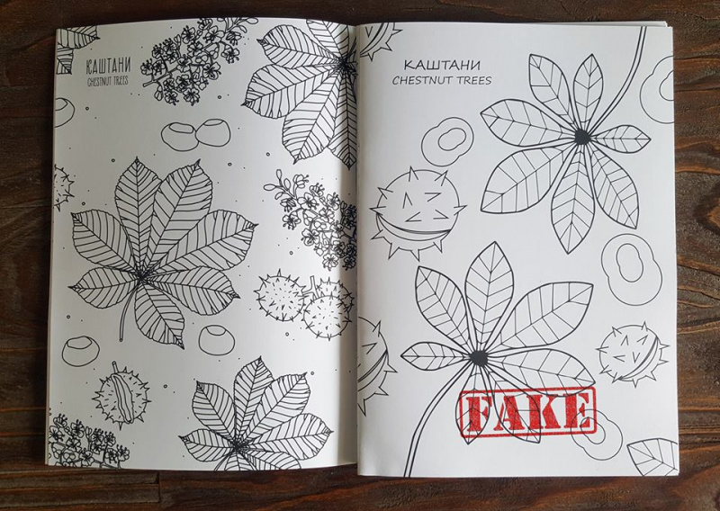 Чиновников КГГА обвинили в плагиате