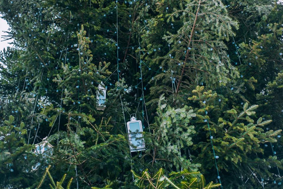 В Киеве новогоднюю елку нарядили первыми украшениями