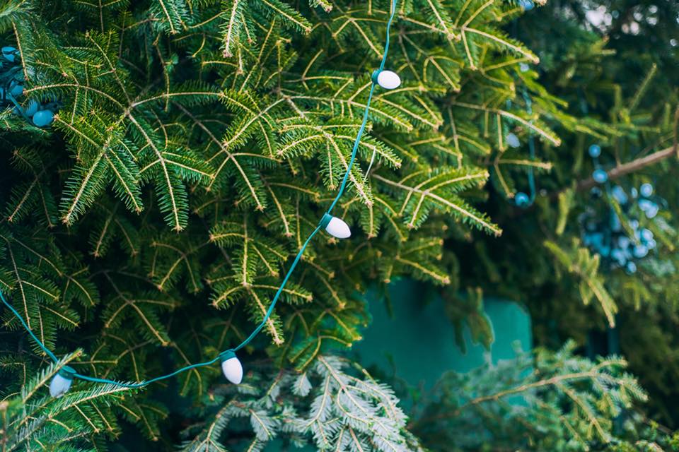 В Киеве новогоднюю елку нарядили первыми украшениями