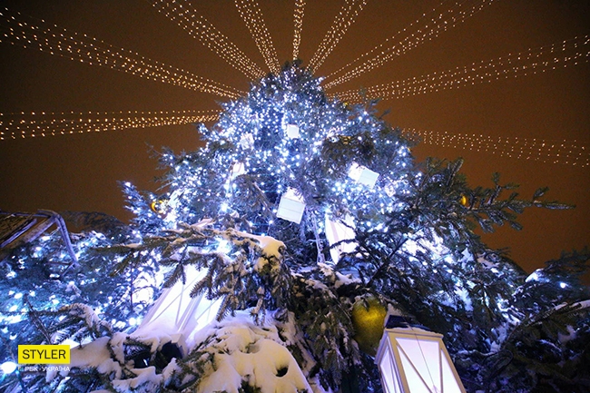 Открытие елки в Киеве: появились впечатляющие фото новогодней красавицы (фоторепортаж)