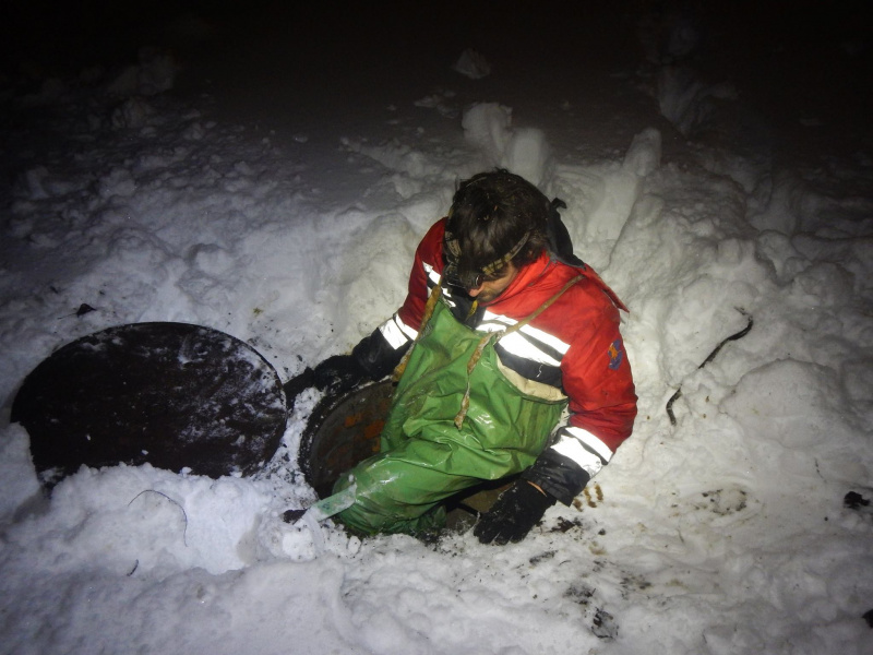 Сеть восхитила спецоперация по спасению утки в Киеве (фото)