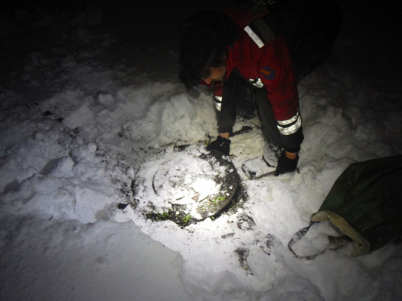 Сеть восхитила спецоперация по спасению утки в Киеве (фото)