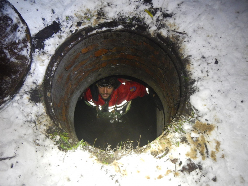 Сеть восхитила спецоперация по спасению утки в Киеве (фото)