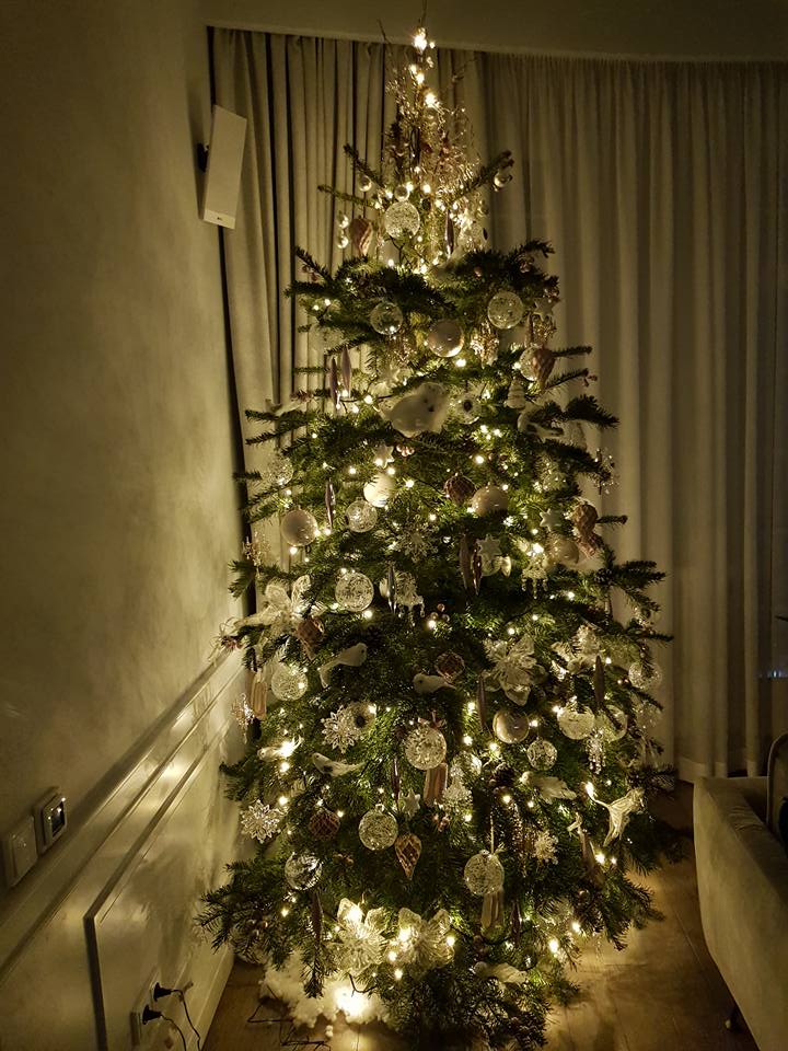 "Это бесценно": Притула похвастался новогодними выходными