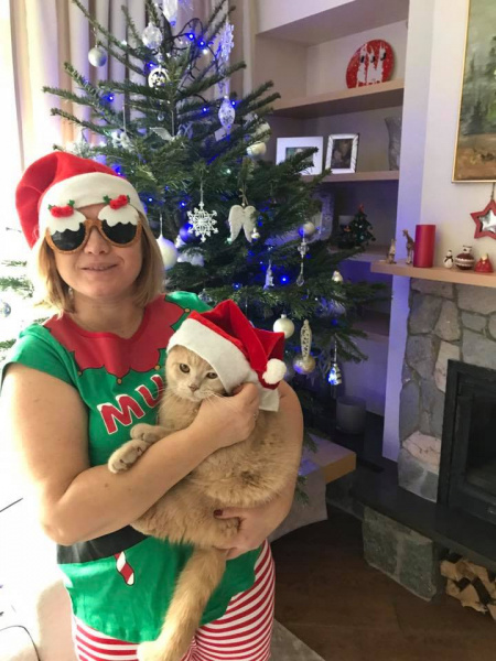 Собаки, эльфы и шампанское: как политики встретили Новый год 2018