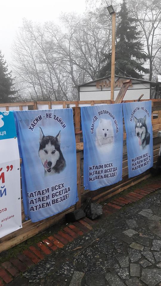 Тварини мерзнуть: в мережі обурені пересувним зоопарком в Києві