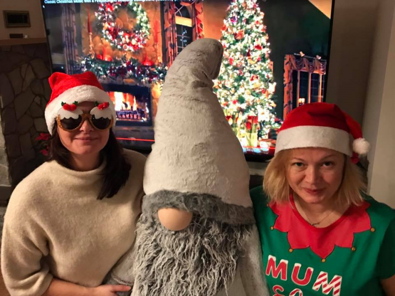 Собаки, эльфы и шампанское: как политики встретили Новый год 2018