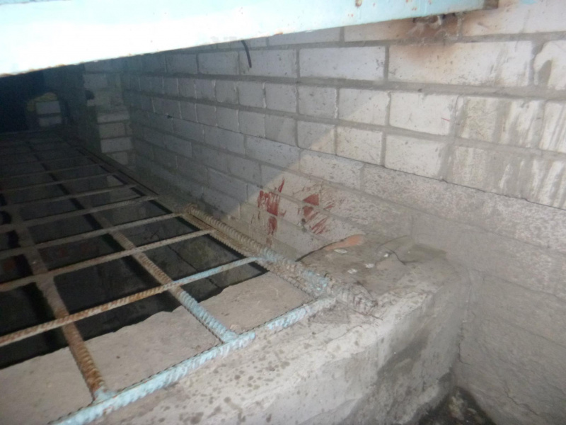 "К хвосту привязали петарду и подорвали": волонтеры просят помочь собаке, которая пострадала в новогоднюю ночь