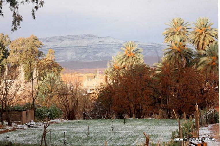 У пустелі Сахара випав сніг (фото)
