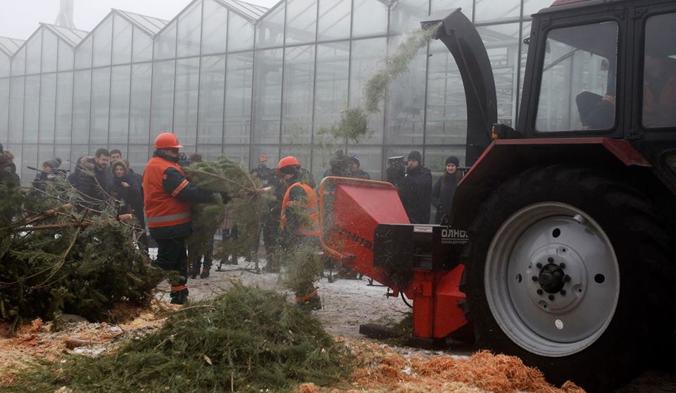 &quot;Зелене майбутнє&quot; киян закликають здавати свої новорічні ялинки на пункти утилізації