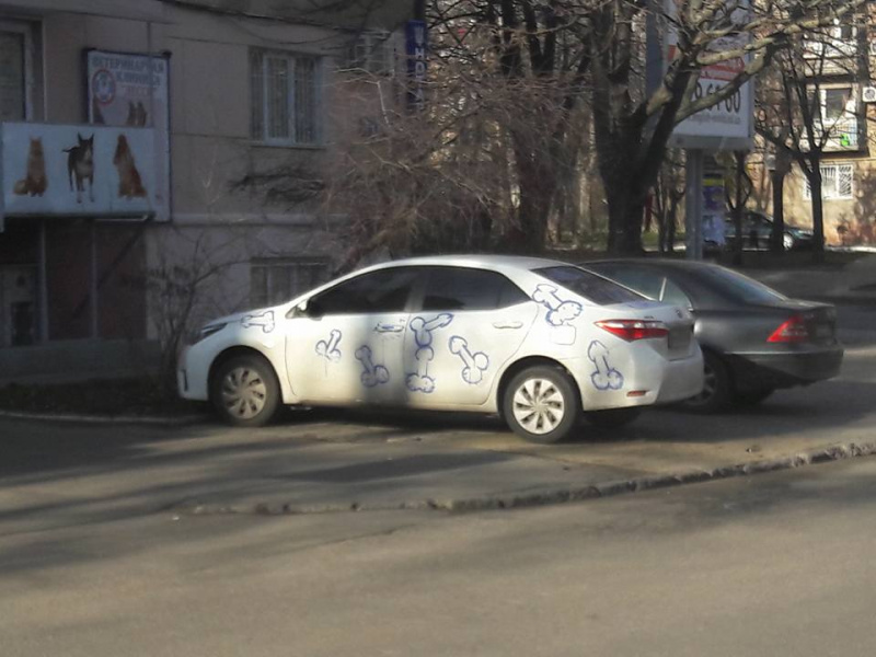 "На лбу писать надо": женщина виртуозно отомстила обидчику (фото)