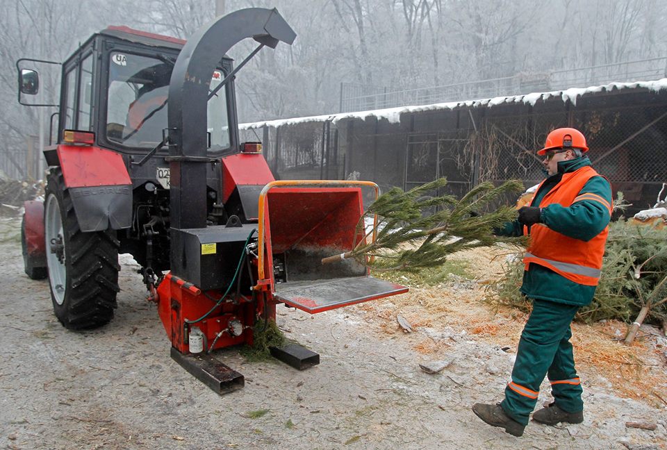 &quot;Зелене майбутнє&quot; киян закликають здавати свої новорічні ялинки на пункти утилізації