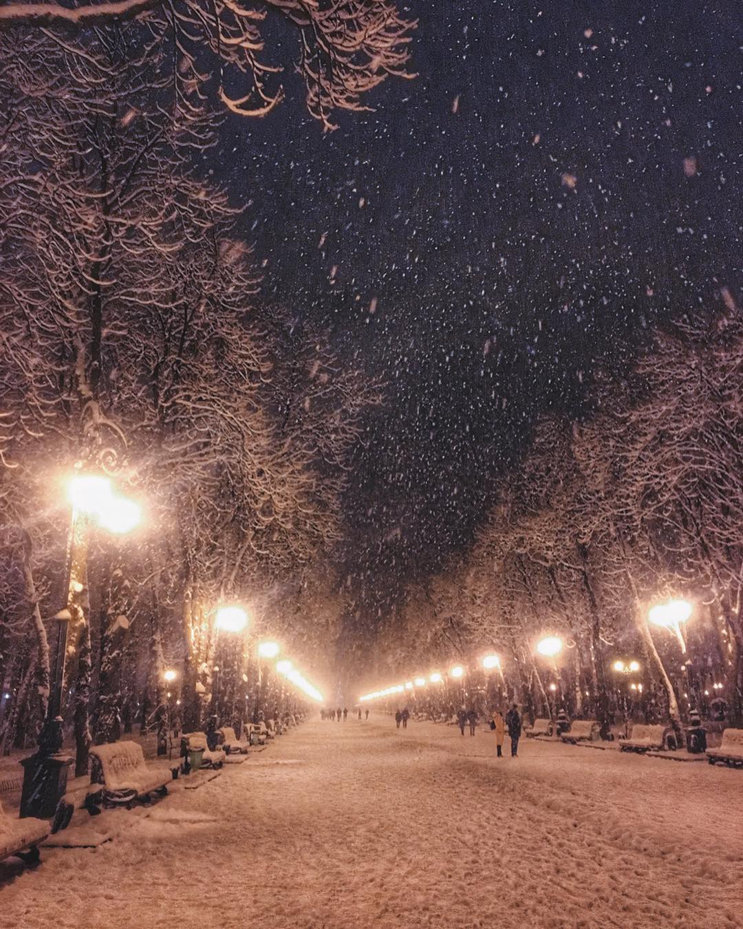 Казковий засніжений парк М. Горького в Харкові