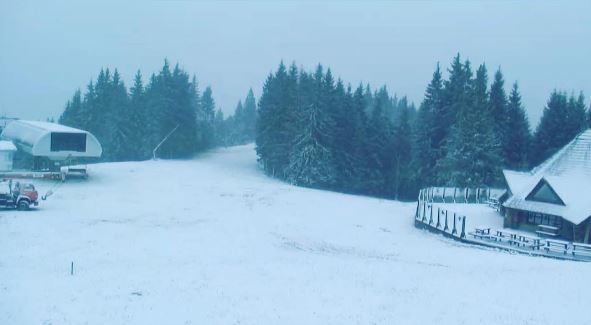В Украине выпал первый снег: яркие фото и видео
