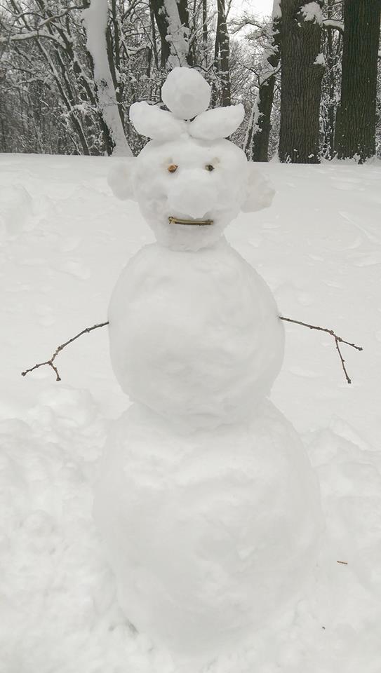 Трохи креативу: жителі Кривого рогу ліплять дивних істот з снігу