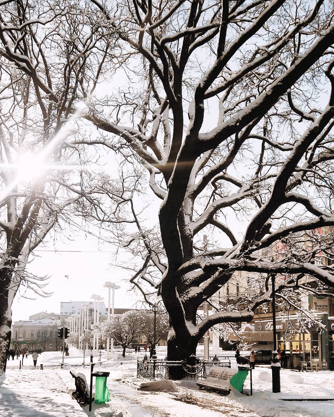Снігопади в Харкові