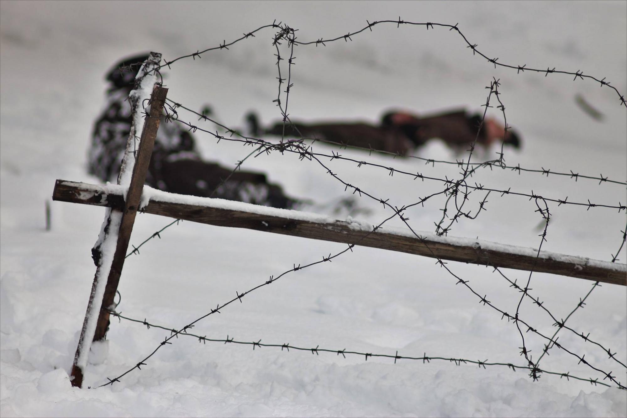 "Справжнє історичне кіно": у мережі з'явилися яскраві фото зі зйомок "Крути 1918"