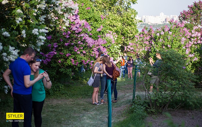 В Киеве зацвела сирень: яркий фоторепортаж из ботсада им. Гришко