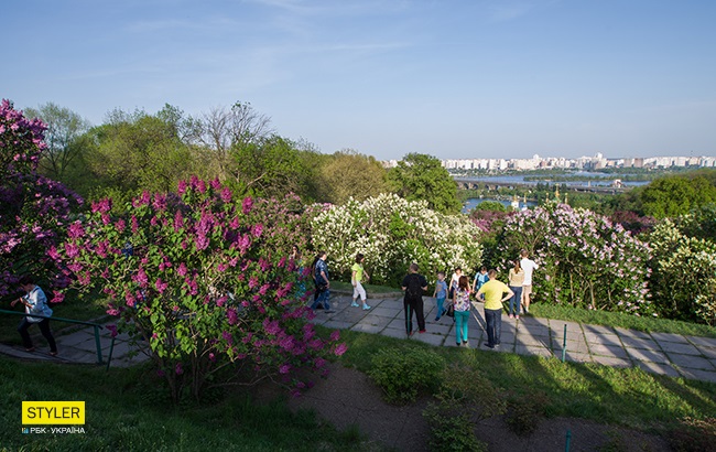 В Киеве зацвела сирень: яркий фоторепортаж из ботсада им. Гришко