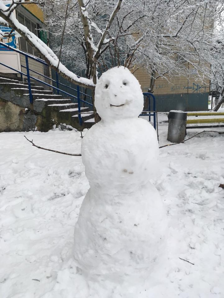 Трохи креативу: жителі Кривого рогу ліплять дивних істот з снігу