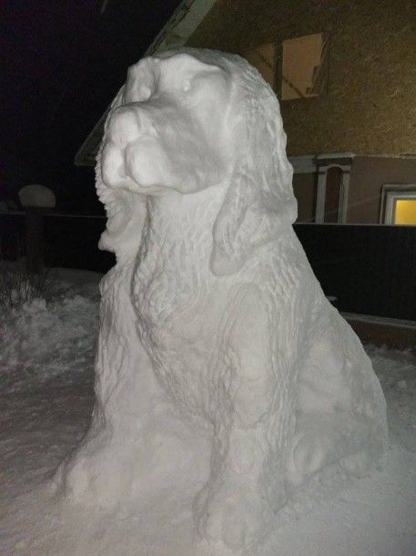Зимова казка: у Київській області з'явився гігантський сніговий пес