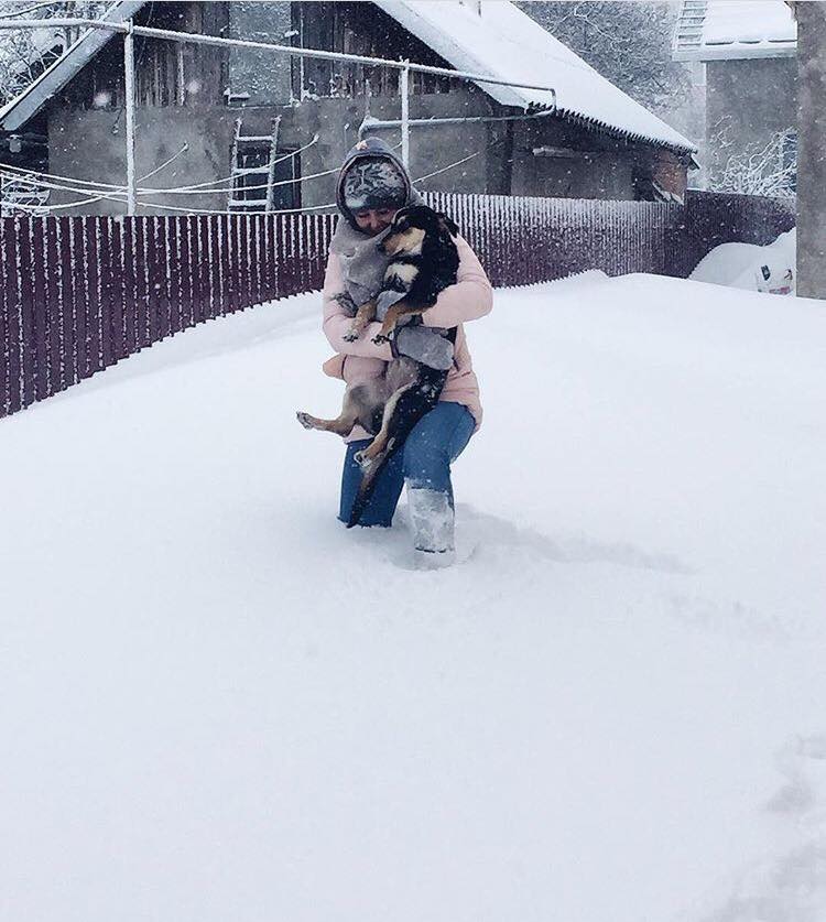 &quot;Маленький ангел&quot;: в мережі розповіли про загиблу під час катання на санях дівчину
