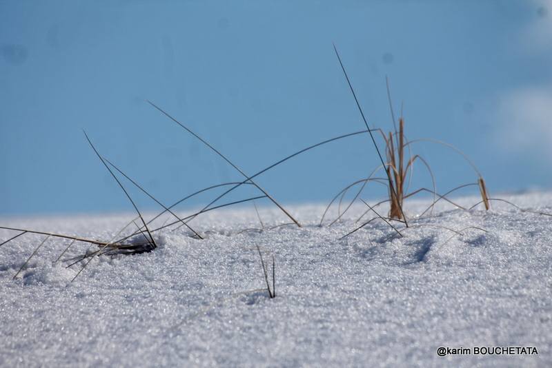 У пустелі Сахара знову снігопад (неймовірні фото)