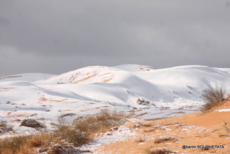 У пустелі Сахара знову снігопад (неймовірні фото)