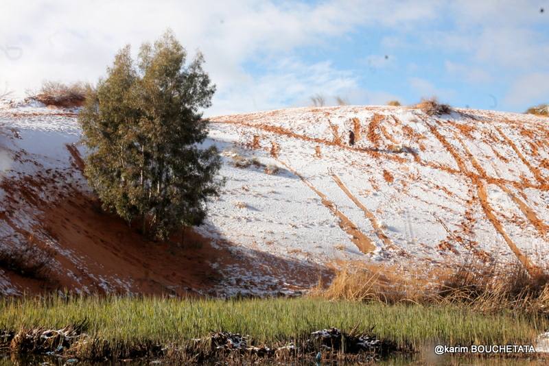 У пустелі Сахара знову снігопад (неймовірні фото)