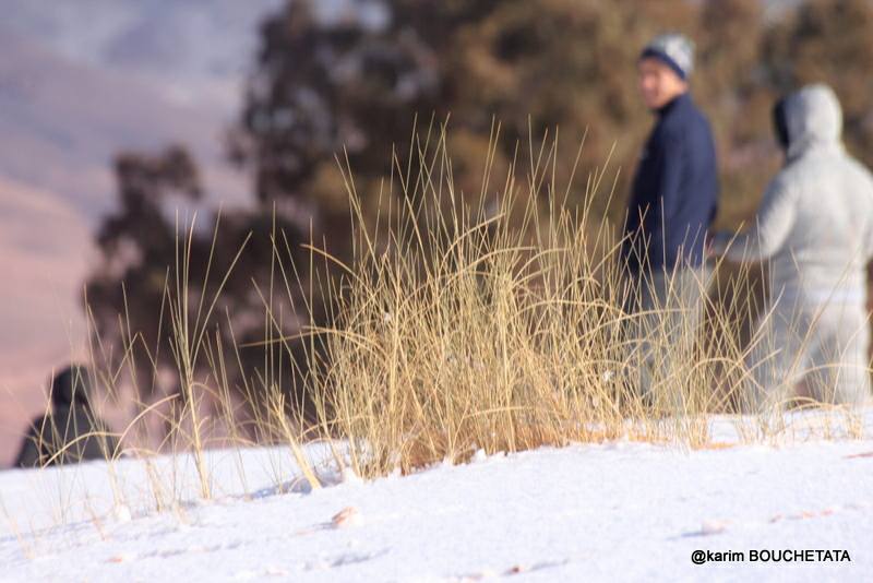 У пустелі Сахара знову снігопад (неймовірні фото)