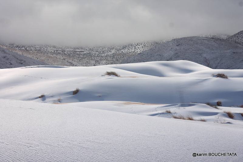 У пустелі Сахара знову снігопад (неймовірні фото)